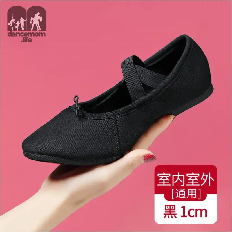 Black canvas dance shoe.