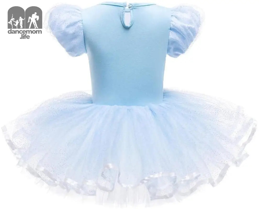 Ballet Leotards Tutu Dress for Toddler Girls Ballerina Outfits Dance Costume Dancewear with Tulle Skirt