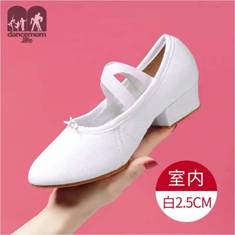 White canvas dance shoe.