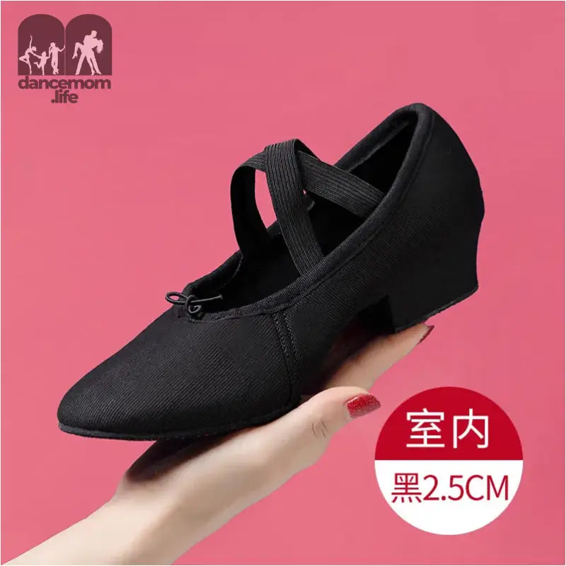 Black canvas dance shoe.