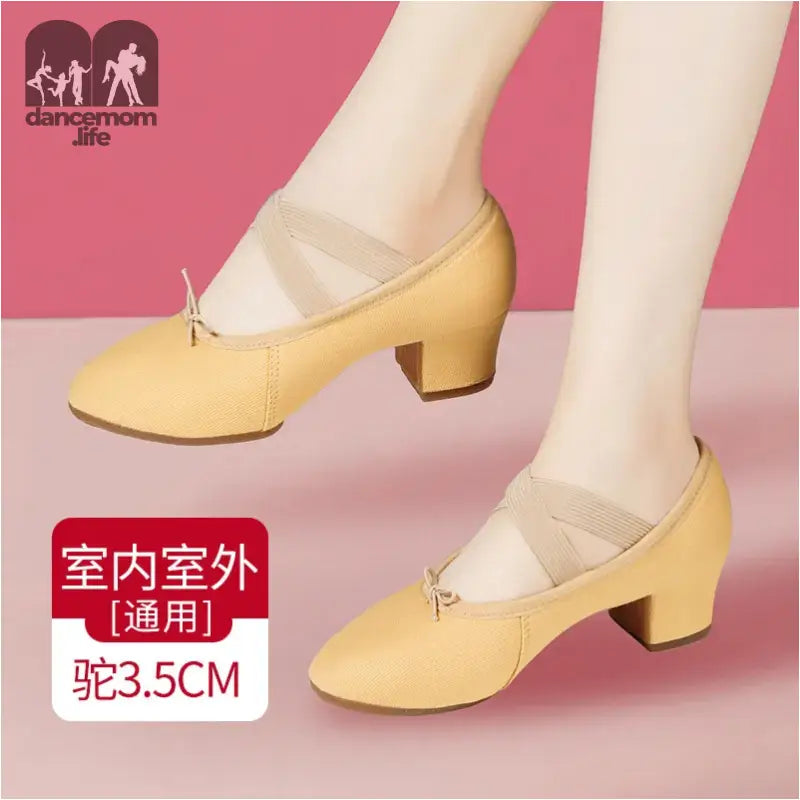 Tan leather dance shoes.