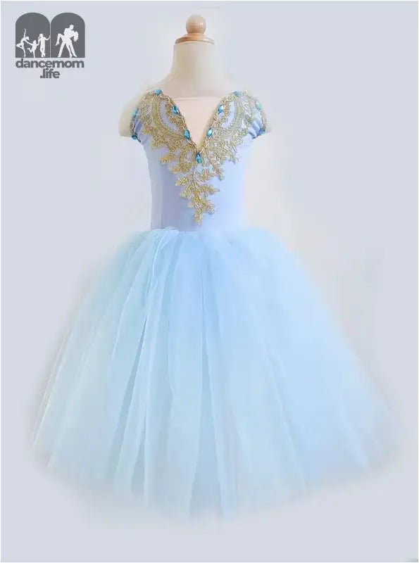 Light blue tulle ballet dress with gold floral embellishments at the bodice.