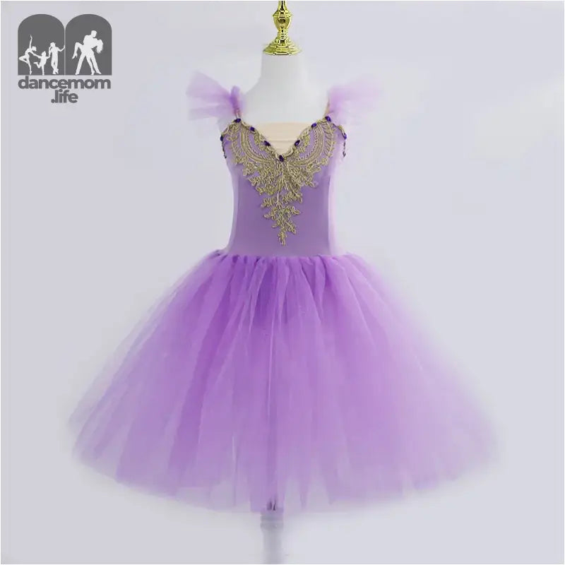 Purple tulle ballet dress with ornate gold beaded embellishment at the bodice.