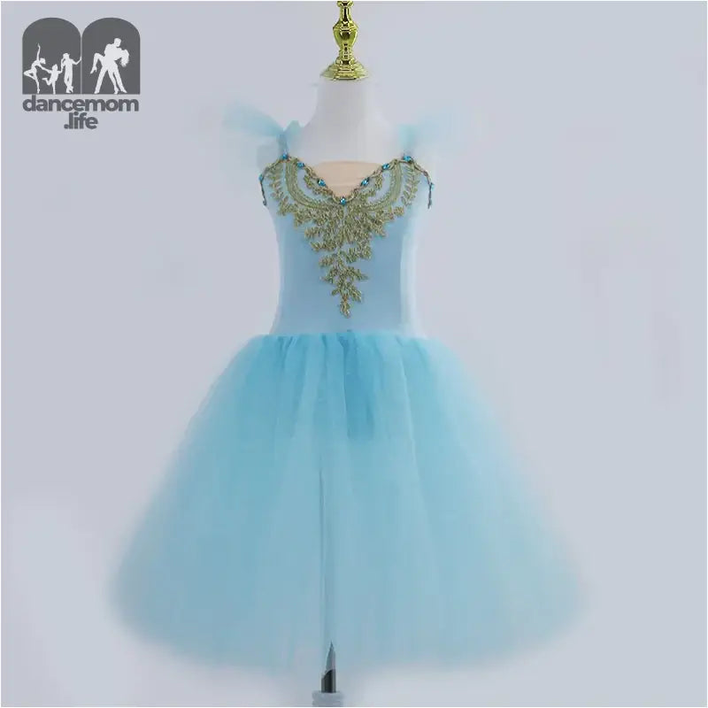 Light blue tulle ballet dress with gold embellishments at the bodice.