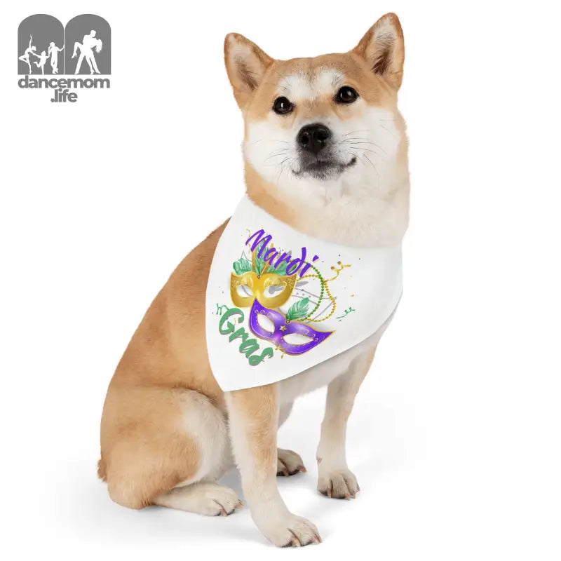 Shiba Inu dog wearing a white bandana with Mardi Gras mask design.