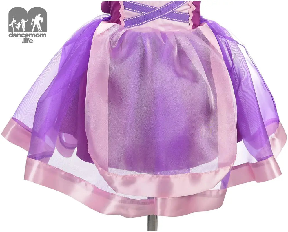 Princess Costumes Birthday Fancy Halloween Xmas Party Dresses up Organza for Toddler Girls Size 4T 221